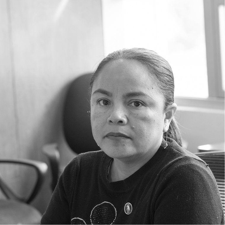 Lcda. Ericka Hortencia Arenas Mendieta — Integrante del Órgano de Administración del Poder Judicial